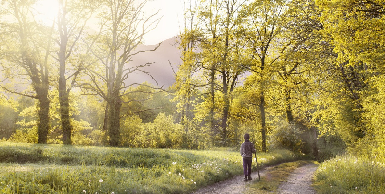 Zdjęcie ilustracyjne. Fot. pixabay.com/pl/ 