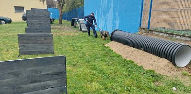 Policyjny pies Borys ma swój tor szkoleniowy przy KPP w Węgrowie-7261