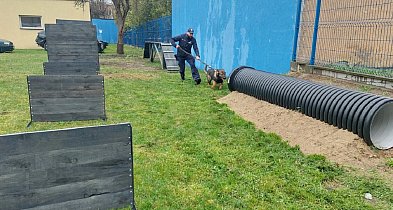 Policyjny pies Borys ma swój tor szkoleniowy przy KPP w Węgrowie-7261