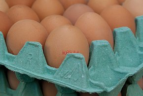 Salmonella na jajach znanej marki. Nie jedz, jeśli masz je w lodówce!-11432