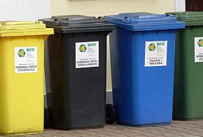 Koniec z darmowymi workami na śmieci. Tak zmieniają się zasady w gminach-11541