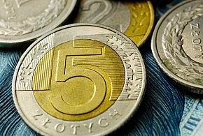 NBP wprowadza do obiegu nową monetę. Nominał inny niż zwykle-11581