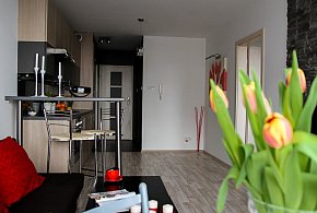 Rewolucja w wynajmie na doby. Nadchodzi koniec "wolnej amerykanki"-12706