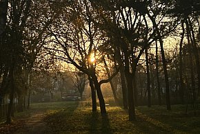 Nadchodzi najkrótszy dzień w 2025 roku. Sprawdź, kiedy przypadnie-12905