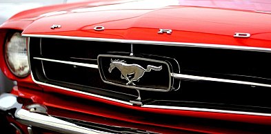 Import aut z USA i Kanady z jasno określonym procesem realizacji