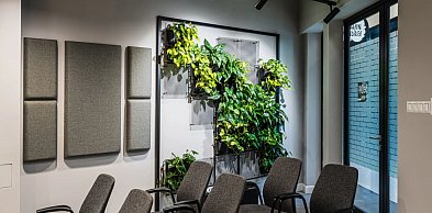 Jakie rośliny wybrać do ściany z roślin? Konkretna lista gatunków