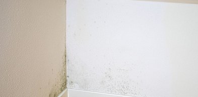 Osuszanie podposadzkowe bez zrywania parkietu – czy to możliwe?