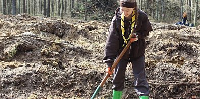 Cykl "W harcerskiej chuście":  Harcerze posadzili las