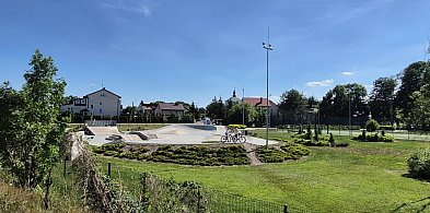 Będzie więcej zieleni. Za prawie 550 tys. złotych