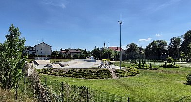 Będzie więcej zieleni. Za prawie 550 tys. złotych