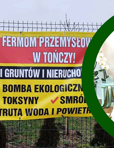 Wielka ferma w Tończy? Mieszkańcy protestują