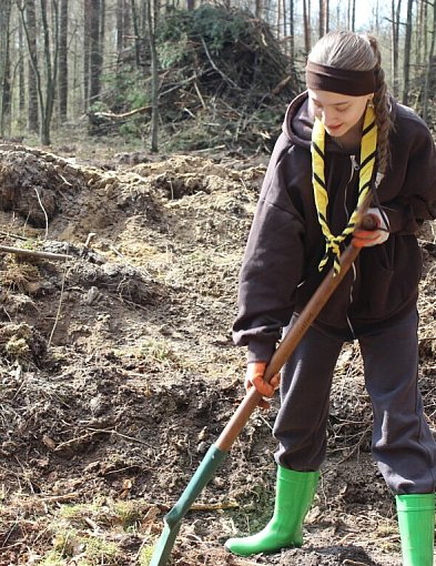 Cykl "W harcerskiej chuście":  Harcerze posadzili las