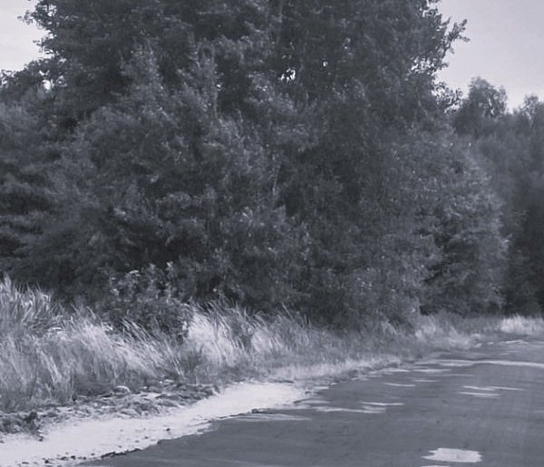 Zabójstwo lekarki w Turnie. Prokuratura: podejrzany usłyszał zarzut zabójstwa-12867