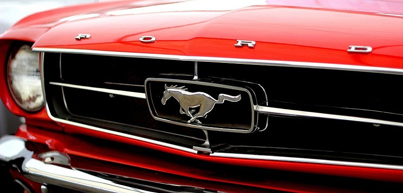 Import aut z USA i Kanady z jasno określonym procesem realizacji