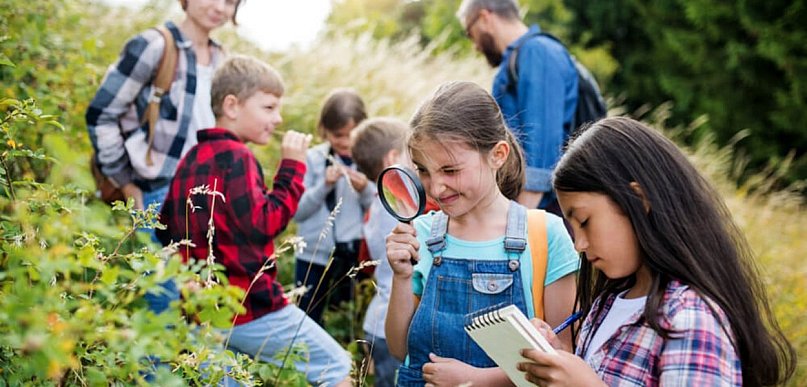 Zielona szkoła w okolicach Warszawy – jak zaplanować zajęcia dla dzieci