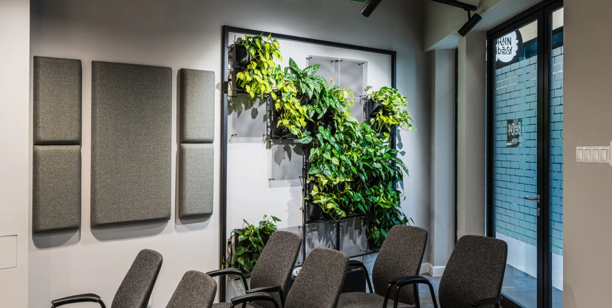 Jakie rośliny wybrać do ściany z roślin? Konkretna lista gatunków